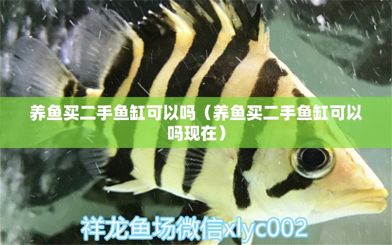 养鱼买二手鱼缸可以吗（养鱼买二手鱼缸可以吗现在） 祥龙水族医院