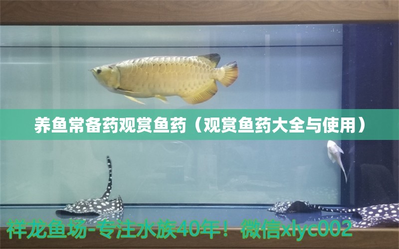 养鱼常备药观赏鱼药（观赏鱼药大全与使用）