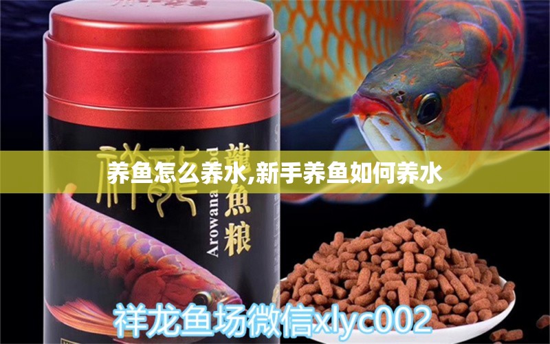 养鱼怎么养水,新手养鱼如何养水 水族问答 第1张