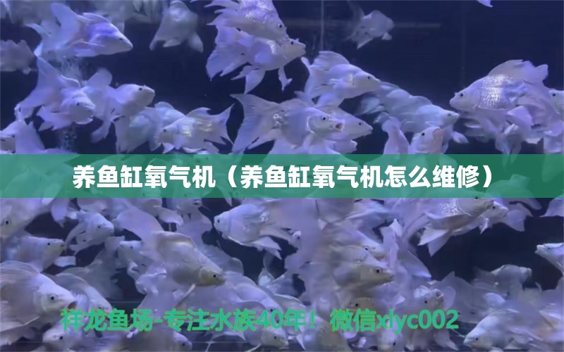 养鱼缸氧气机（养鱼缸氧气机怎么维修）