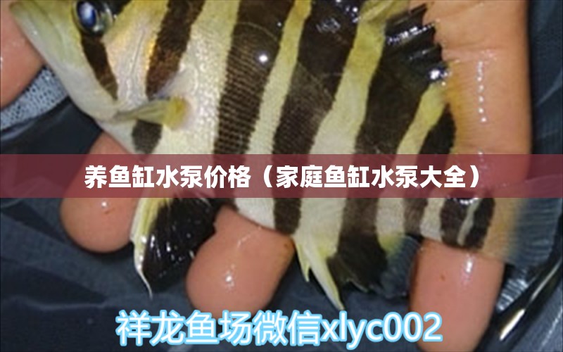 养鱼缸水泵价格（家庭鱼缸水泵大全）