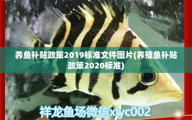 养鱼补贴政策2019标准文件图片(养殖鱼补贴政策2020标准)