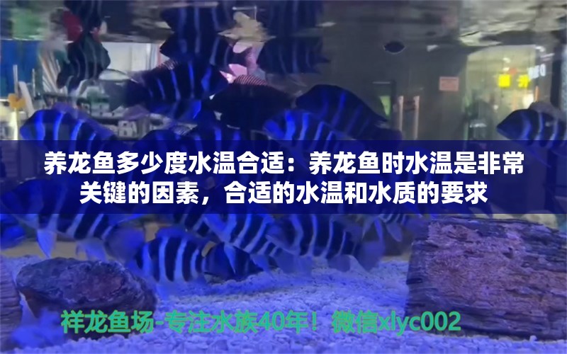 养龙鱼多少度水温合适：养龙鱼时水温是非常关键的因素，合适的水温和水质的要求 龙鱼百科 第2张