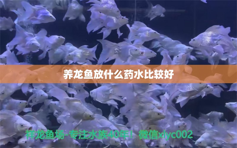 养龙鱼放什么药水比较好