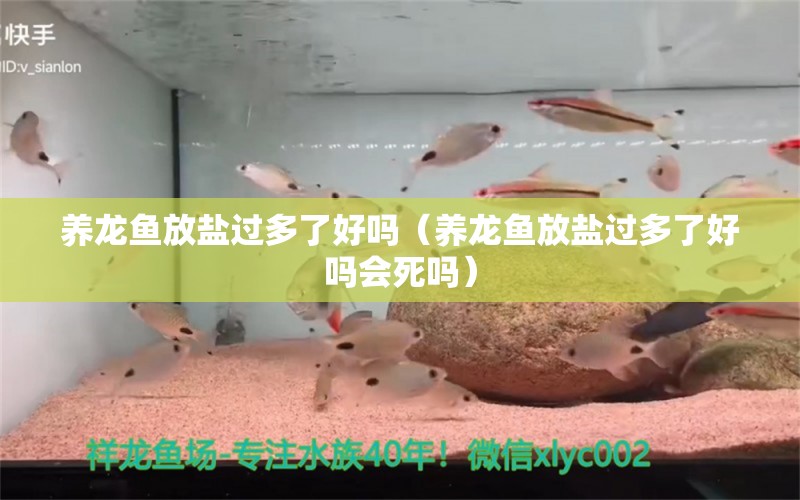 养龙鱼放盐过多了好吗（养龙鱼放盐过多了好吗会死吗） 祥龙水族医院