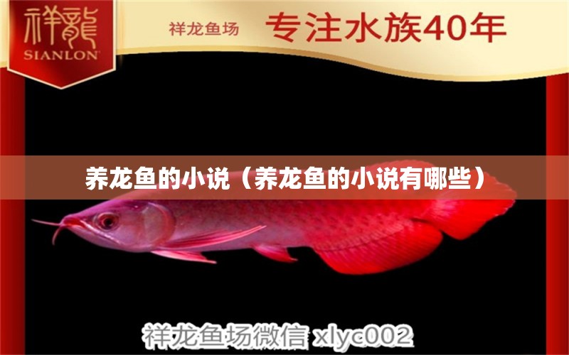 养龙鱼的小说（养龙鱼的小说有哪些） 祥龙水族医院