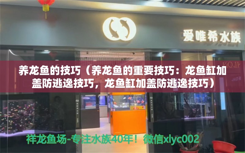 养龙鱼的技巧（养龙鱼的重要技巧：龙鱼缸加盖防逃逸技巧，龙鱼缸加盖防逃逸技巧） 龙鱼百科 第1张