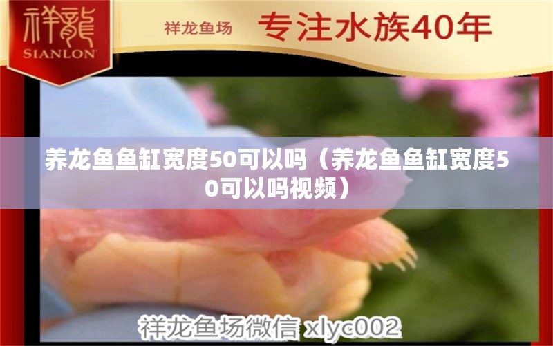 养龙鱼鱼缸宽度50可以吗（养龙鱼鱼缸宽度50可以吗视频） 其他品牌鱼缸