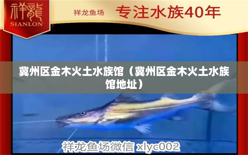 冀州区金木火土水族馆（冀州区金木火土水族馆地址）