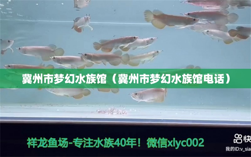 冀州市梦幻水族馆（冀州市梦幻水族馆电话）