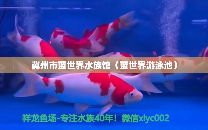 冀州市蓝世界水族馆（蓝世界游泳池）