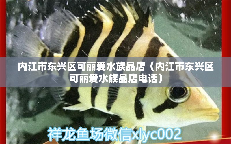 内江市东兴区可丽爱水族品店（内江市东兴区可丽爱水族品店电话） 全国水族馆企业名录