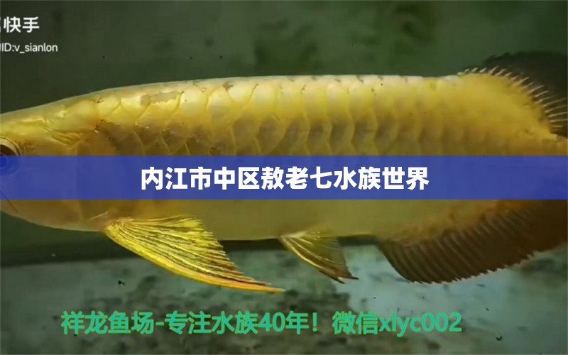 内江市中区敖老七水族世界