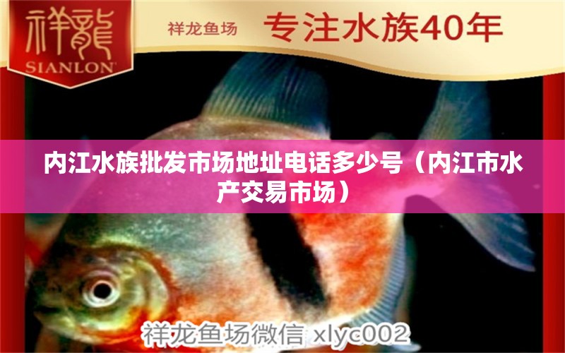 内江水族批发市场地址电话多少号（内江市水产交易市场）