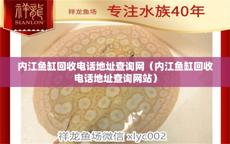 内江鱼缸回收电话地址查询网（内江鱼缸回收电话地址查询网站）