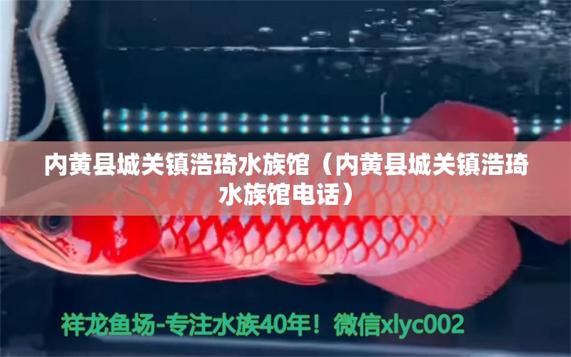 内黄县城关镇浩琦水族馆（内黄县城关镇浩琦水族馆电话） 全国水族馆企业名录