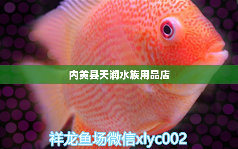 内黄县天润水族用品店 水族用品