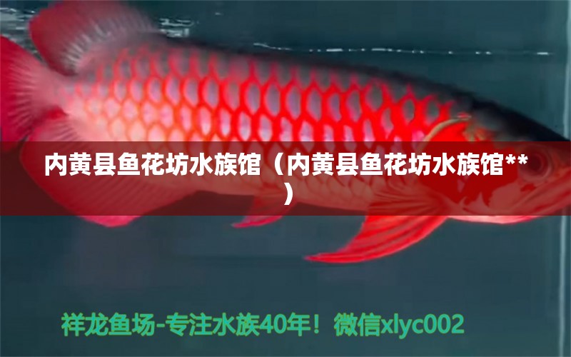 内黄县鱼花坊水族馆（内黄县鱼花坊水族馆**） 全国水族馆企业名录