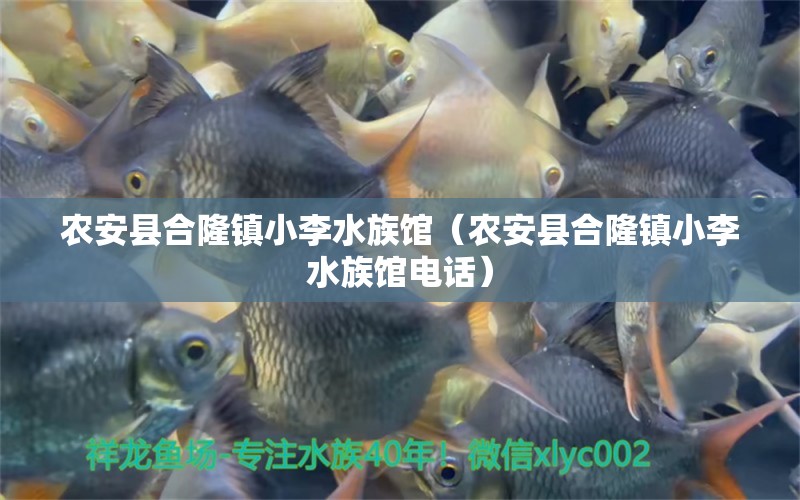 农安县合隆镇小李水族馆（农安县合隆镇小李水族馆电话） 全国水族馆企业名录