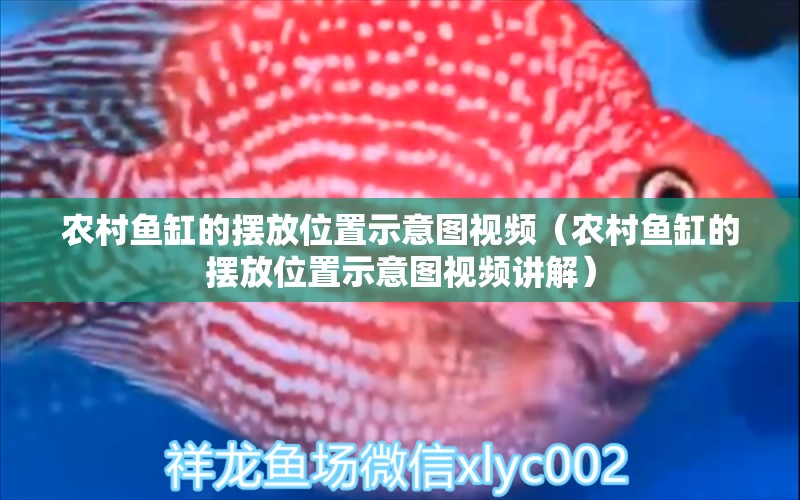 农村鱼缸的摆放位置示意图视频（农村鱼缸的摆放位置示意图视频讲解）