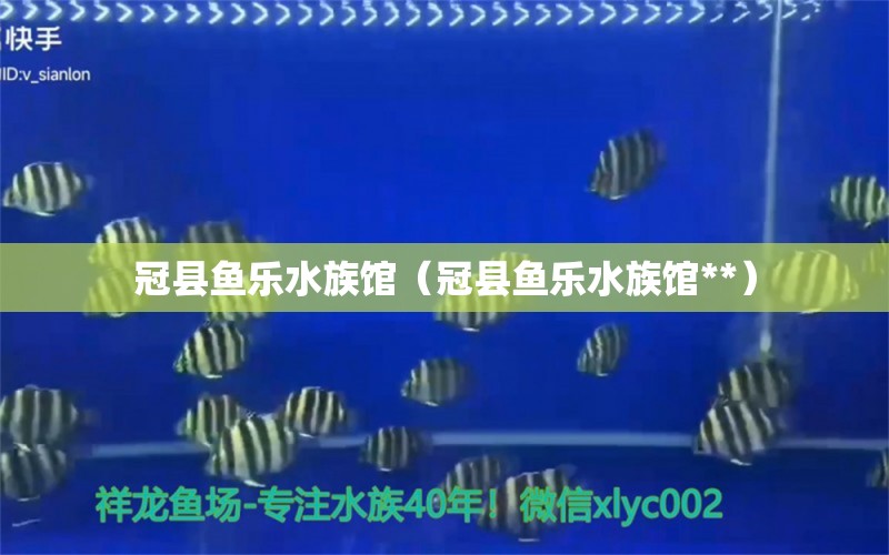 冠县鱼乐水族馆（冠县鱼乐水族馆**） 全国水族馆企业名录