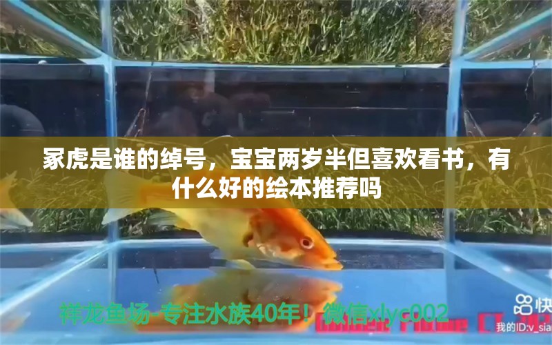 冢虎是谁的绰号，宝宝两岁半但喜欢看书，有什么好的绘本推荐吗