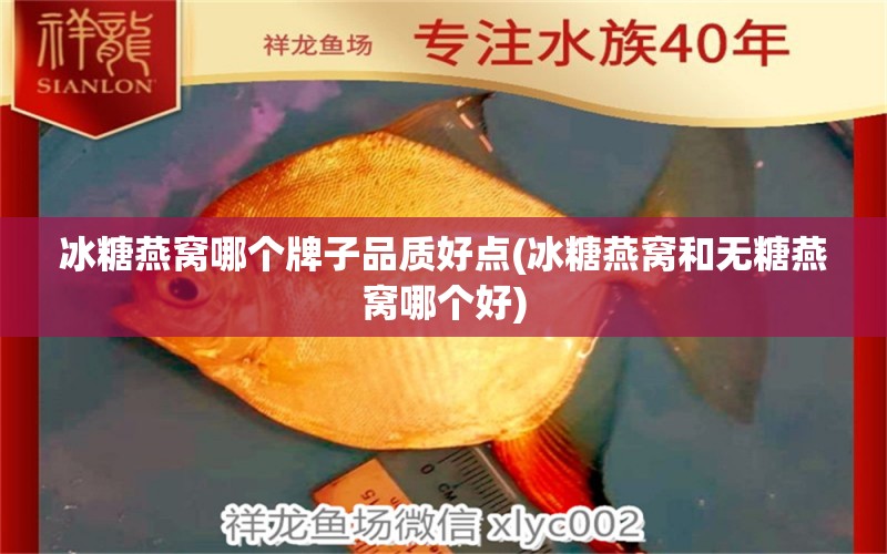 冰糖燕窝哪个牌子品质好点(冰糖燕窝和无糖燕窝哪个好)