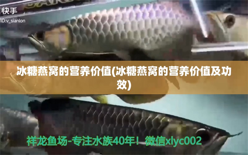 冰糖燕窝的营养价值(冰糖燕窝的营养价值及功效) 马来西亚燕窝 第1张