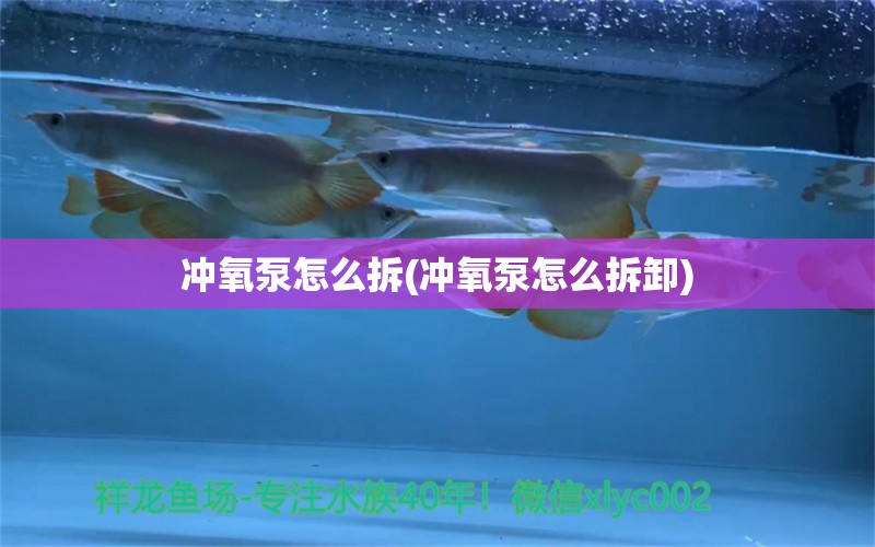 冲氧泵怎么拆(冲氧泵怎么拆卸)