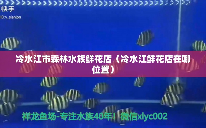 冷水江市森林水族鲜花店（冷水江鲜花店在哪位置）