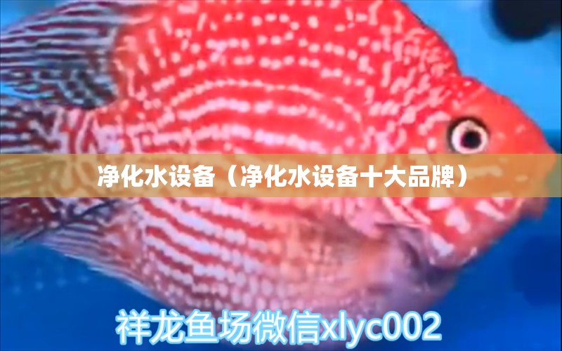 净化水设备（净化水设备十大品牌） 祥龙水族医院