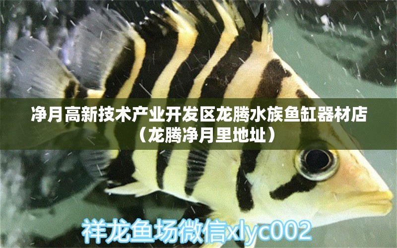 净月高新技术产业开发区龙腾水族鱼缸器材店（龙腾净月里地址）