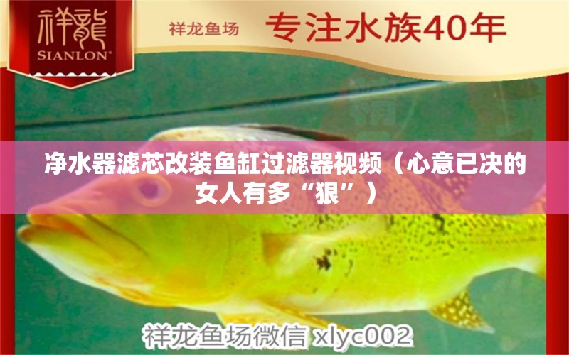 净水器滤芯改装鱼缸过滤器视频（心意已决的女人有多“狠”）