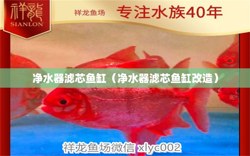 净水器滤芯鱼缸（净水器滤芯鱼缸改造） 祥龙水族医院