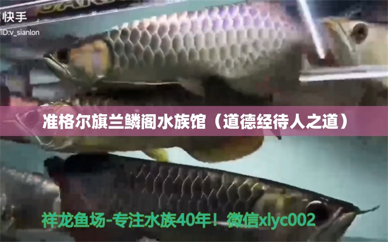 准格尔旗兰鳞阁水族馆（道德经待人之道）