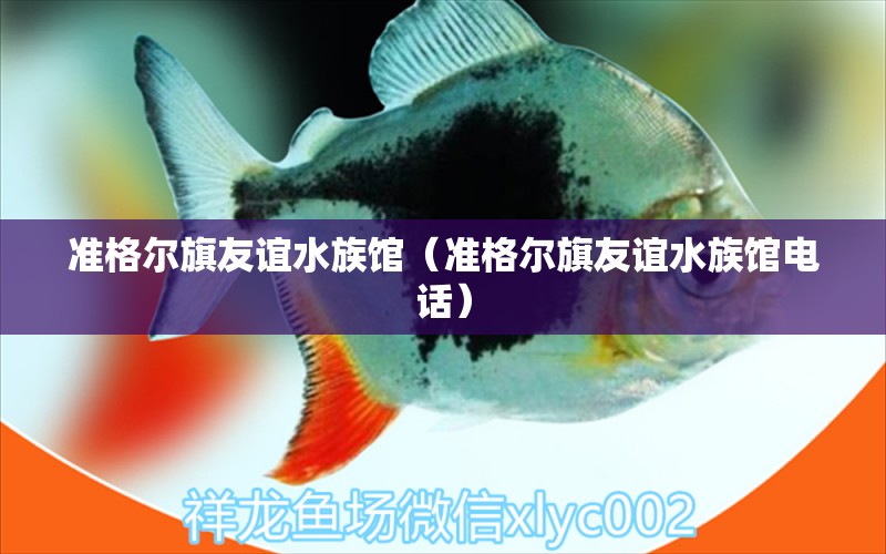 准格尔旗友谊水族馆（准格尔旗友谊水族馆电话）