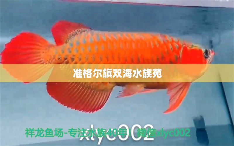 准格尔旗双海水族苑 全国水族馆企业名录