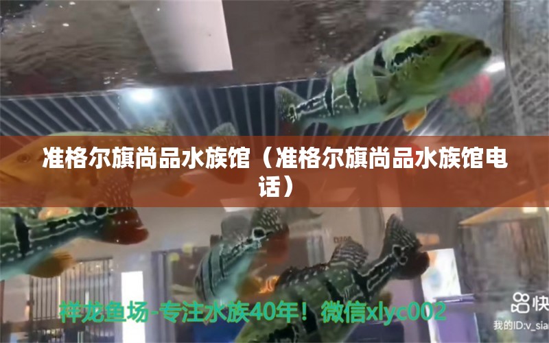 准格尔旗尚品水族馆（准格尔旗尚品水族馆电话） 全国水族馆企业名录