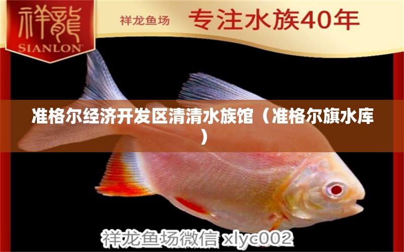 准格尔经济开发区清清水族馆（准格尔旗水库） 全国水族馆企业名录