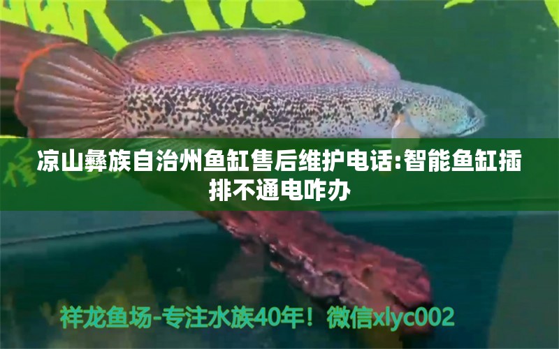 凉山彝族自治州鱼缸售后维护电话:智能鱼缸插排不通电咋办