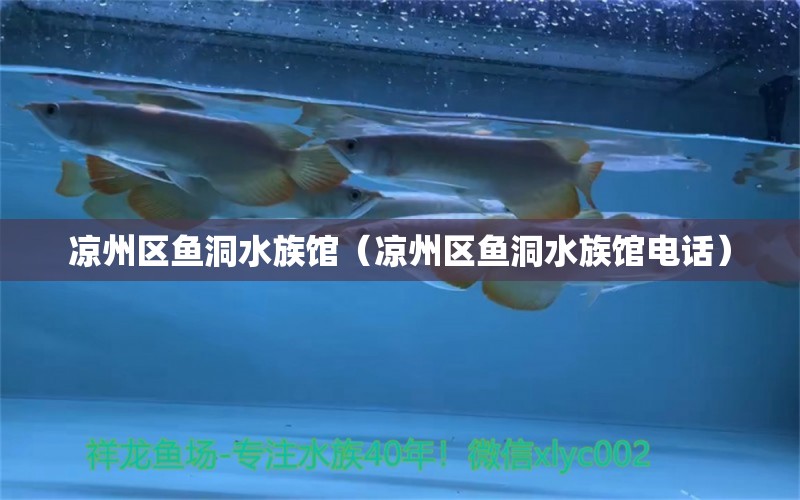 凉州区鱼洞水族馆（凉州区鱼洞水族馆电话） 全国水族馆企业名录