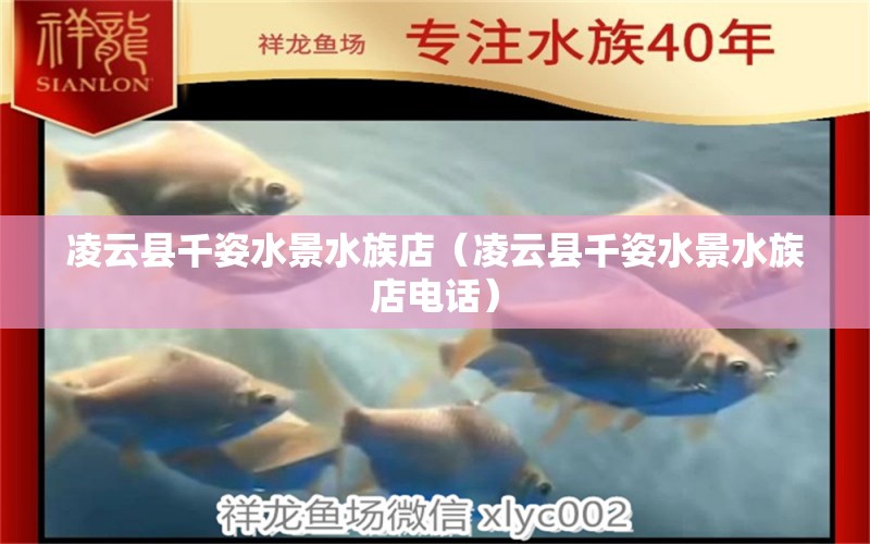 凌云县千姿水景水族店（凌云县千姿水景水族店电话）