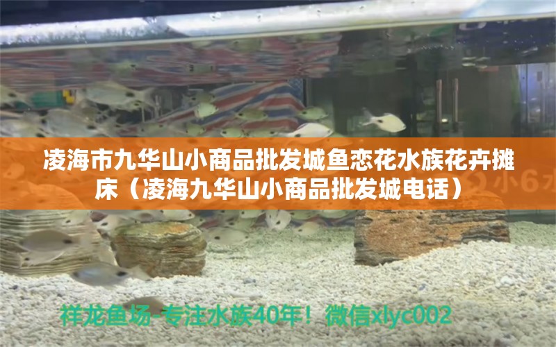 凌海市九华山小商品批发城鱼恋花水族花卉摊床（凌海九华山小商品批发城电话）