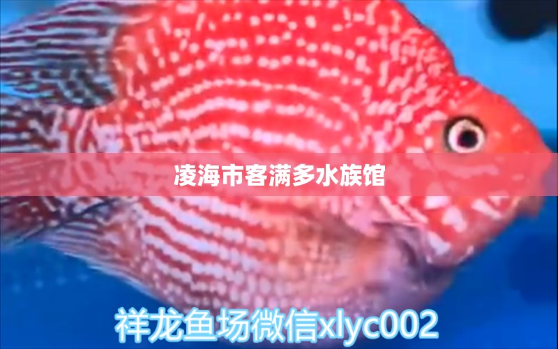 凌海市客满多水族馆