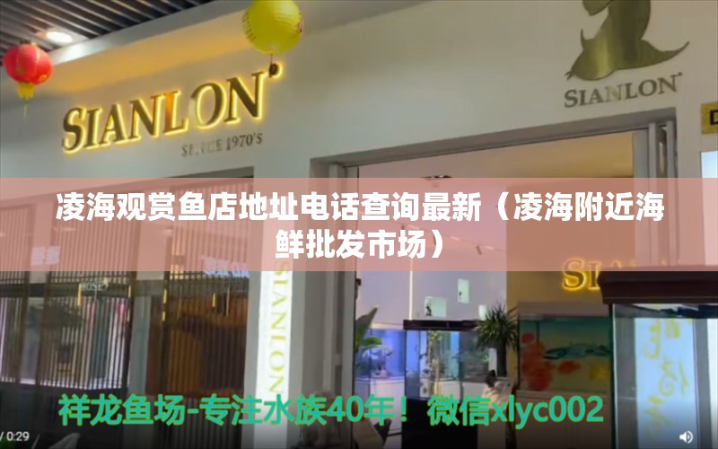 凌海观赏鱼店地址电话查询最新（凌海附近海鲜批发市场） 锦鲤池鱼池建设