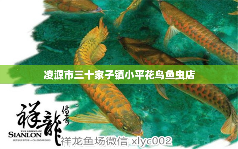 凌源市三十家子镇小平花鸟鱼虫店 全国水族馆企业名录