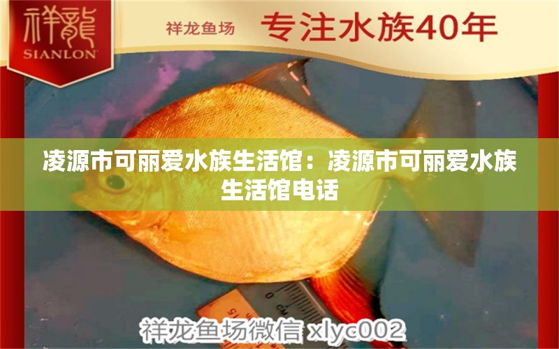 凌源市可丽爱水族生活馆：凌源市可丽爱水族生活馆电话 全国水族馆企业名录