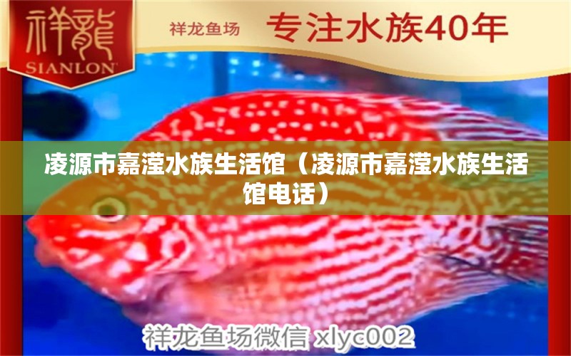 凌源市嘉滢水族生活馆（凌源市嘉滢水族生活馆电话）