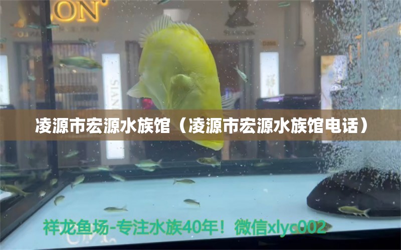 凌源市宏源水族馆（凌源市宏源水族馆电话） 全国水族馆企业名录