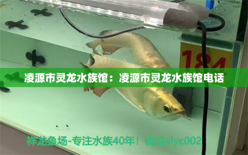 凌源市灵龙水族馆：凌源市灵龙水族馆电话 全国水族馆企业名录